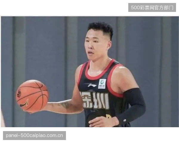 深圳队战术数据显示，贺希宁通过大量无球跑动获得出手机会，成为顶级3D球员范本。